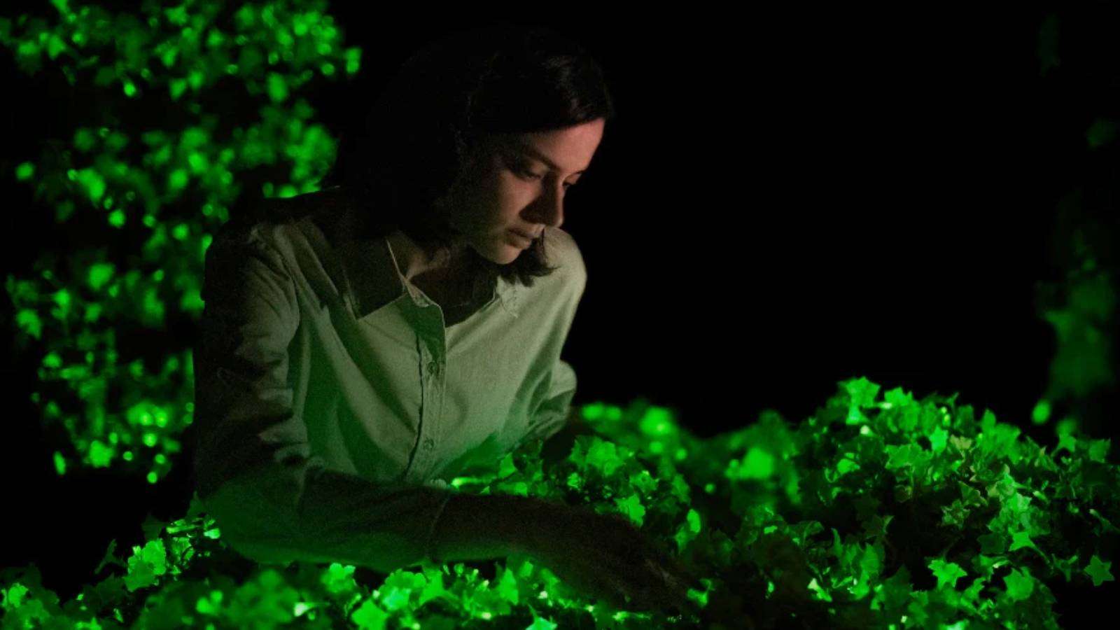 Image from the Light Bio website of a person admiring the glow of the Bioluminescent petunia flowers.
