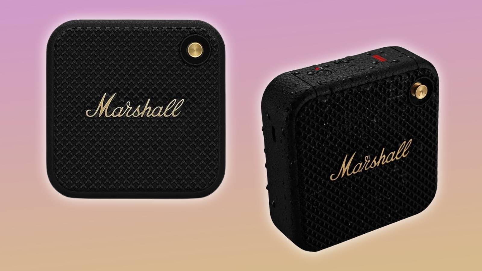 Image of the Marshall Willen Bluetooth speaker on a pink and yellow background.