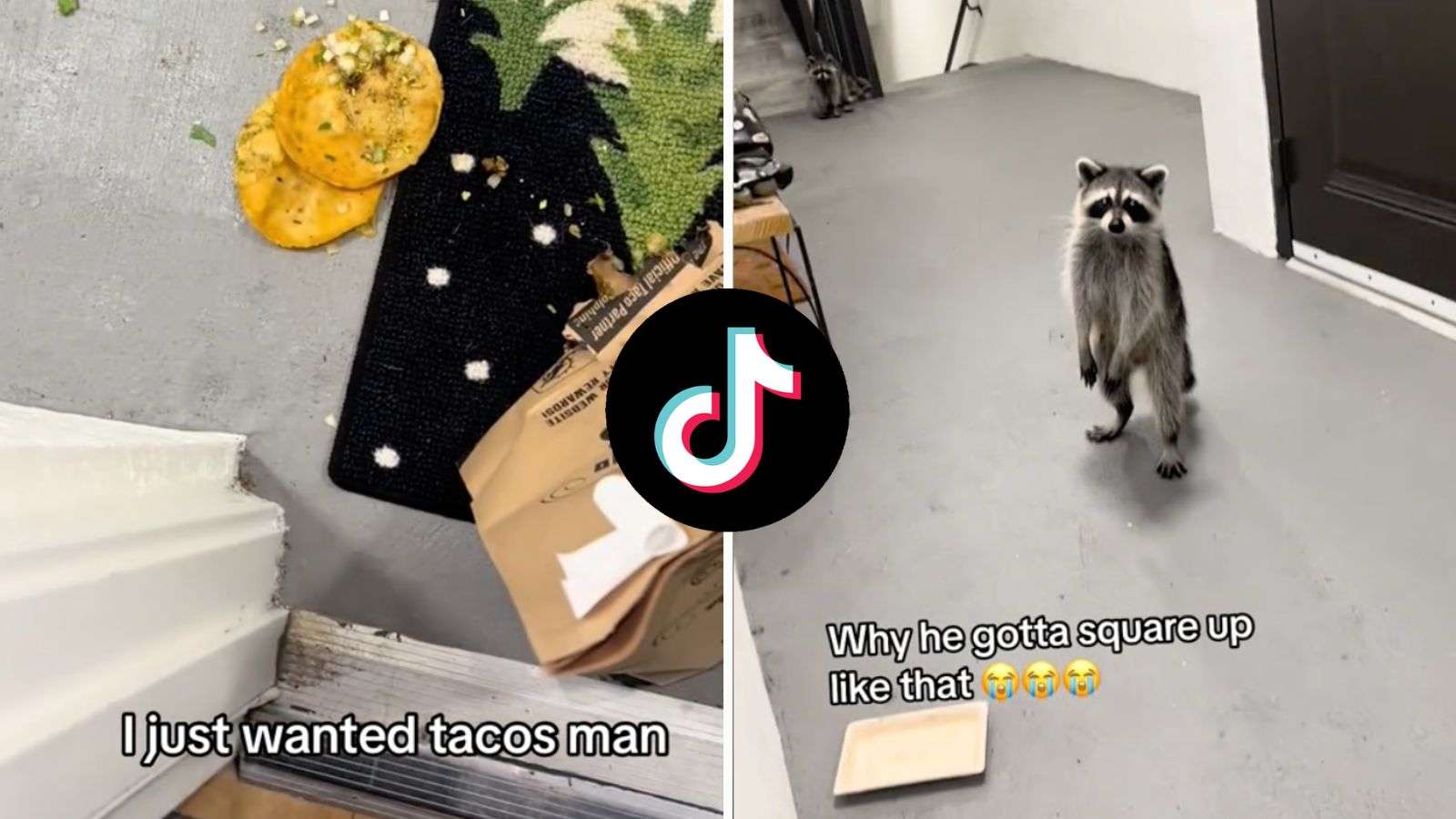 Raccoons ruin Taco Tuesday by stealing woman's Doordash