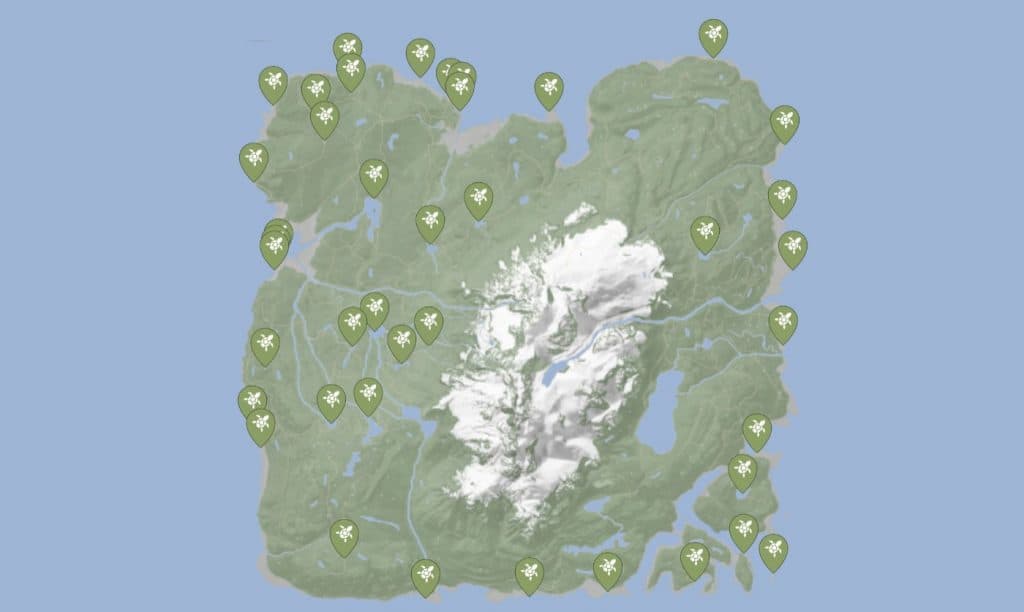 Exact locations of sea turtles in Sons of the Forest.