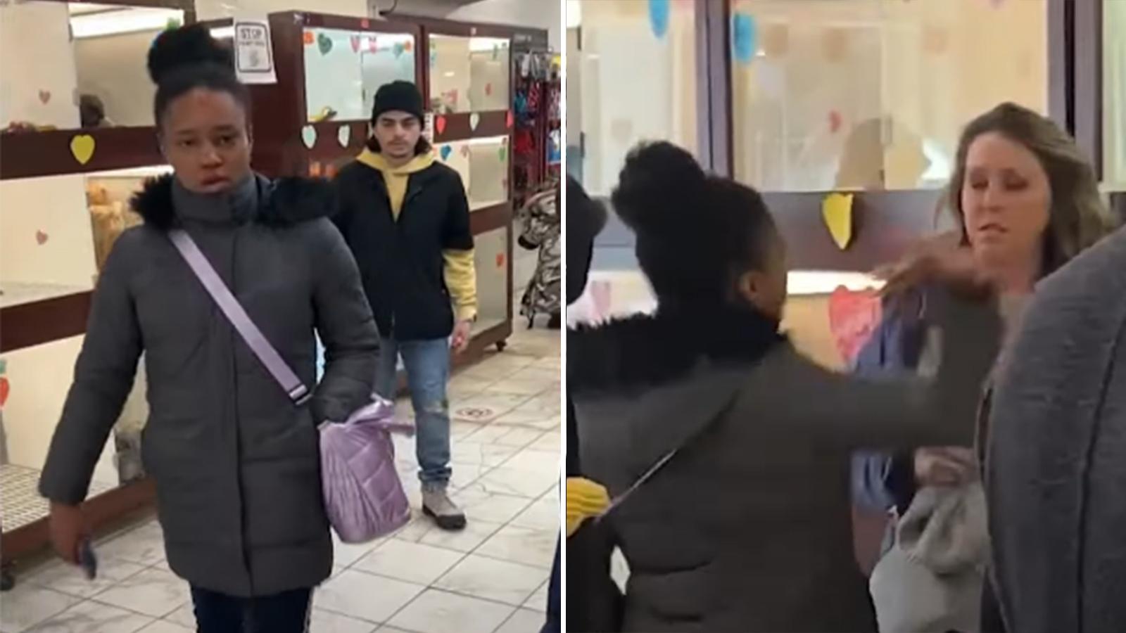 nyc-woman-slaps-tourist-pet-shop-viral