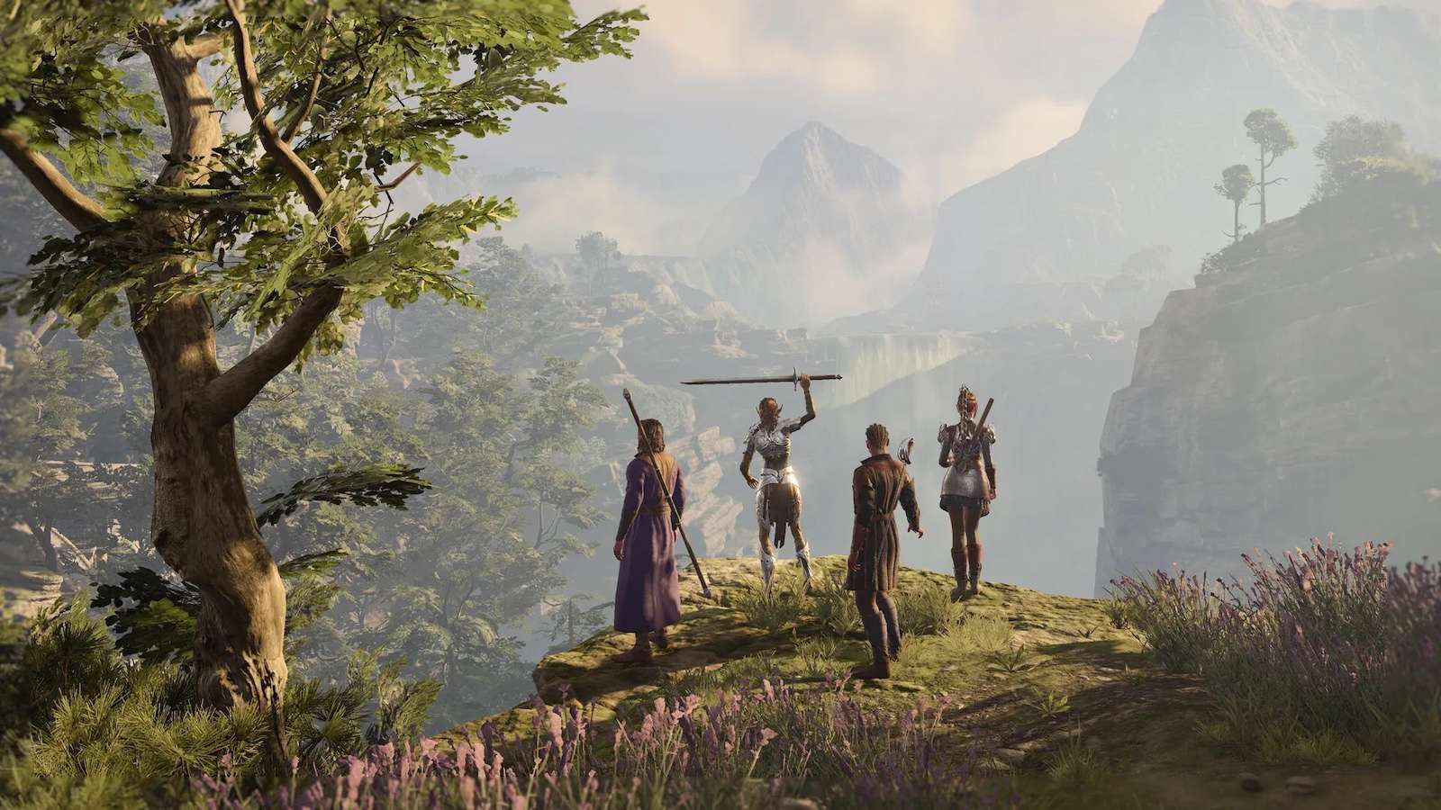 Baldur's Gate 3 characters standing over vista