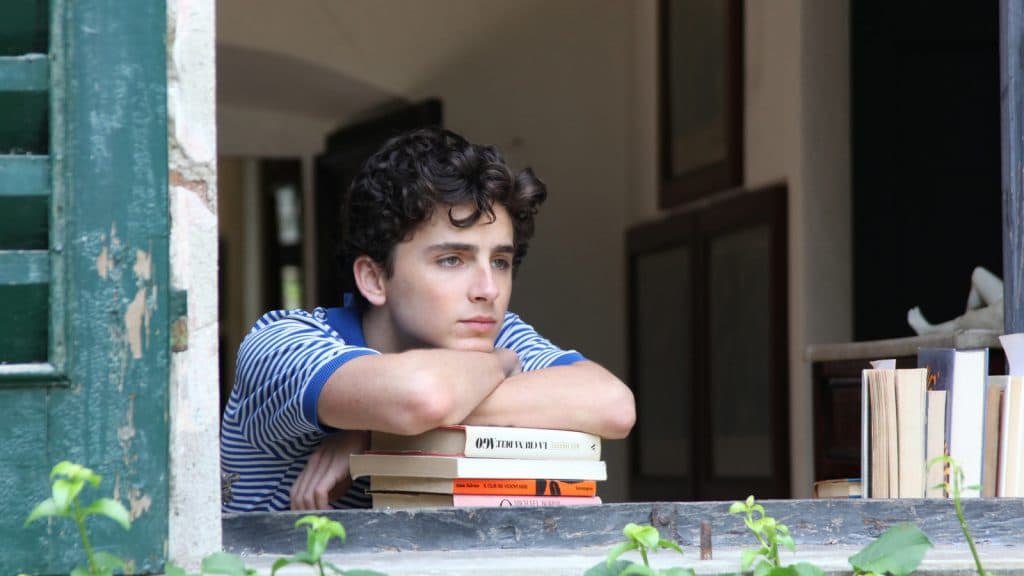 Timothee Chalamet in Call me By Your Name