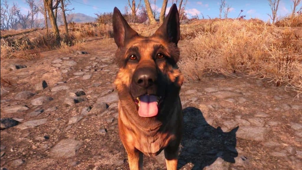 An image of Dogmeat in Fallout 4.
