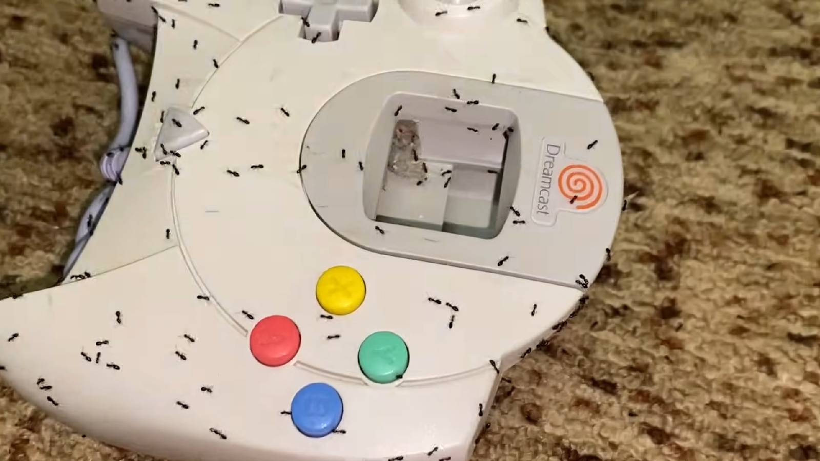 Dreamcast controller infested with ants