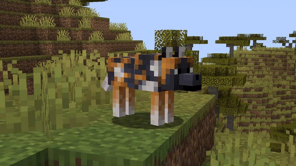 Minecraft spotted wolf