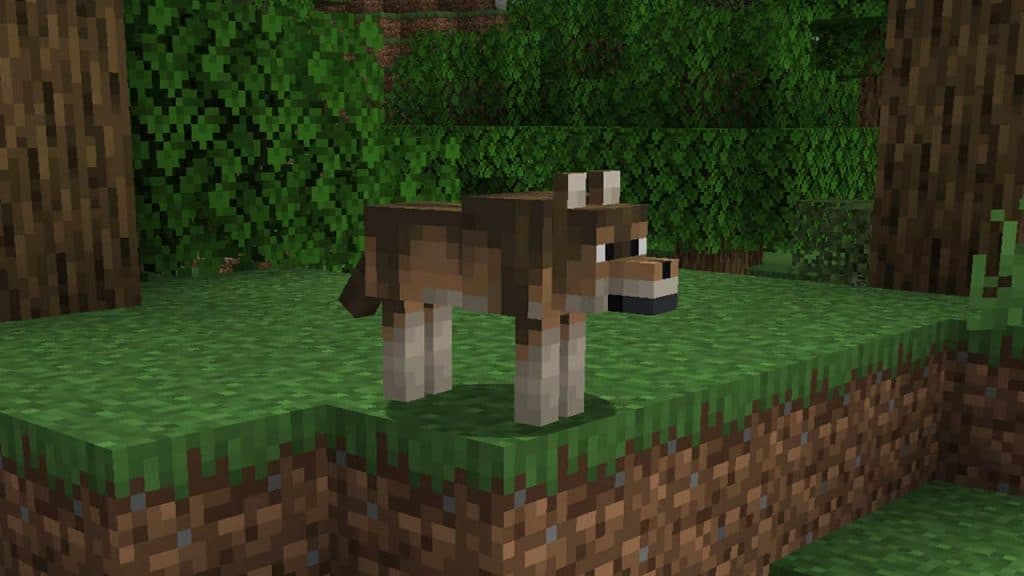 Minecraft woods wolf