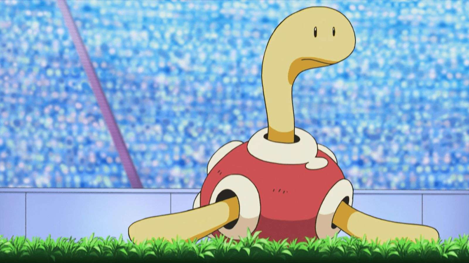 Shuckle from Pokemon anime.