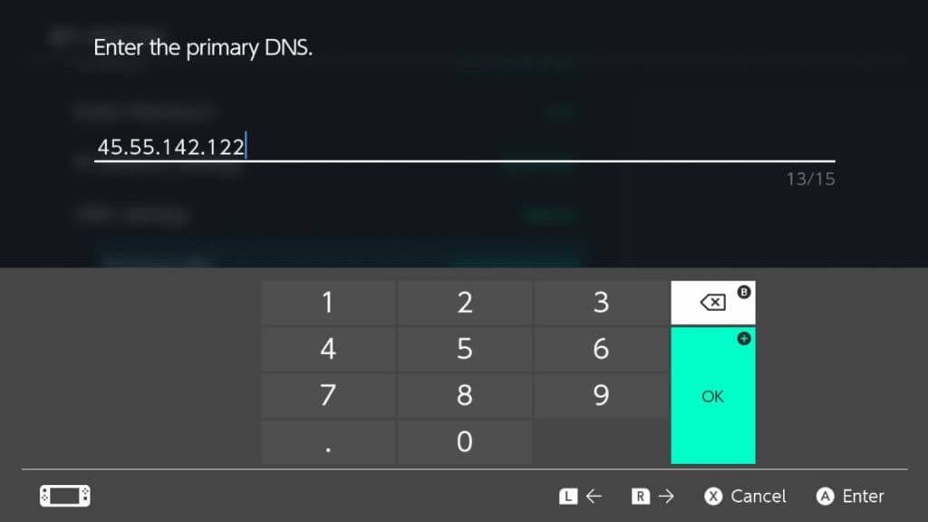 Screenshot of the DNS manual input in the Nintendo Switch settings.