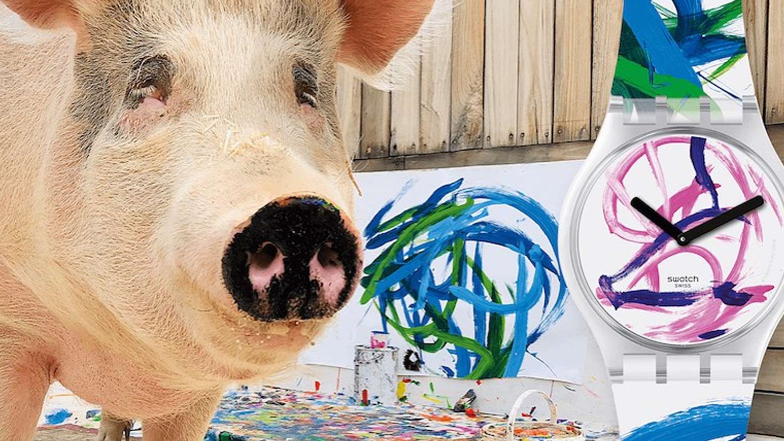 Viral painting pig 'Pigcasso' dies at 8 years old - Dexerto