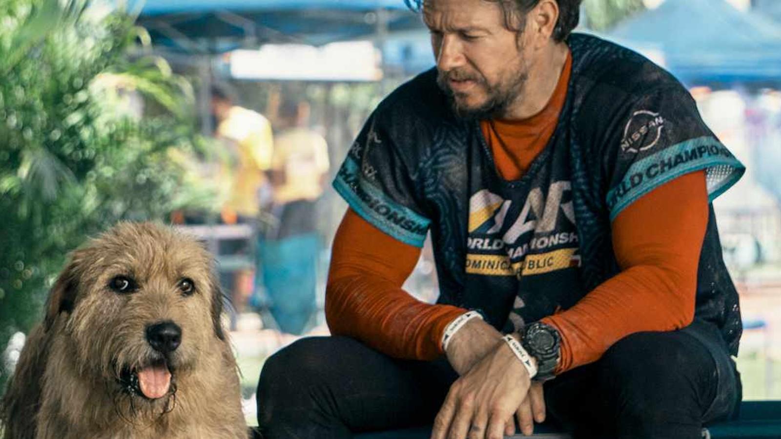 Mark Wahlberg with the title character in Arthur the Dog.