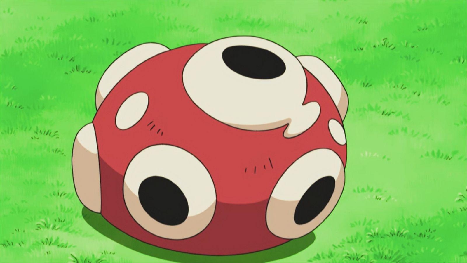 Shuckle shell from Pokemon anime.