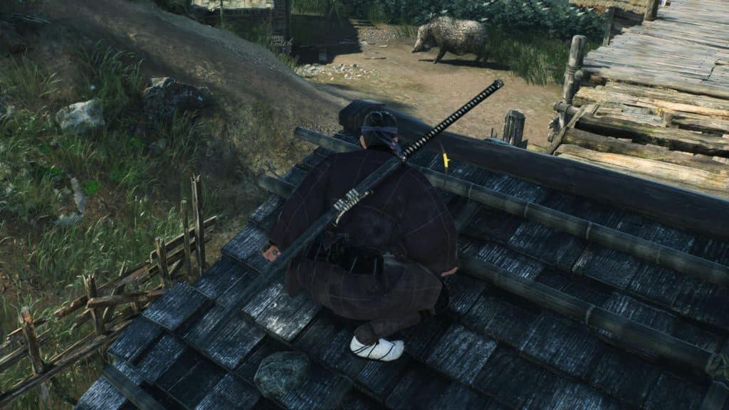 Ronin on a roof