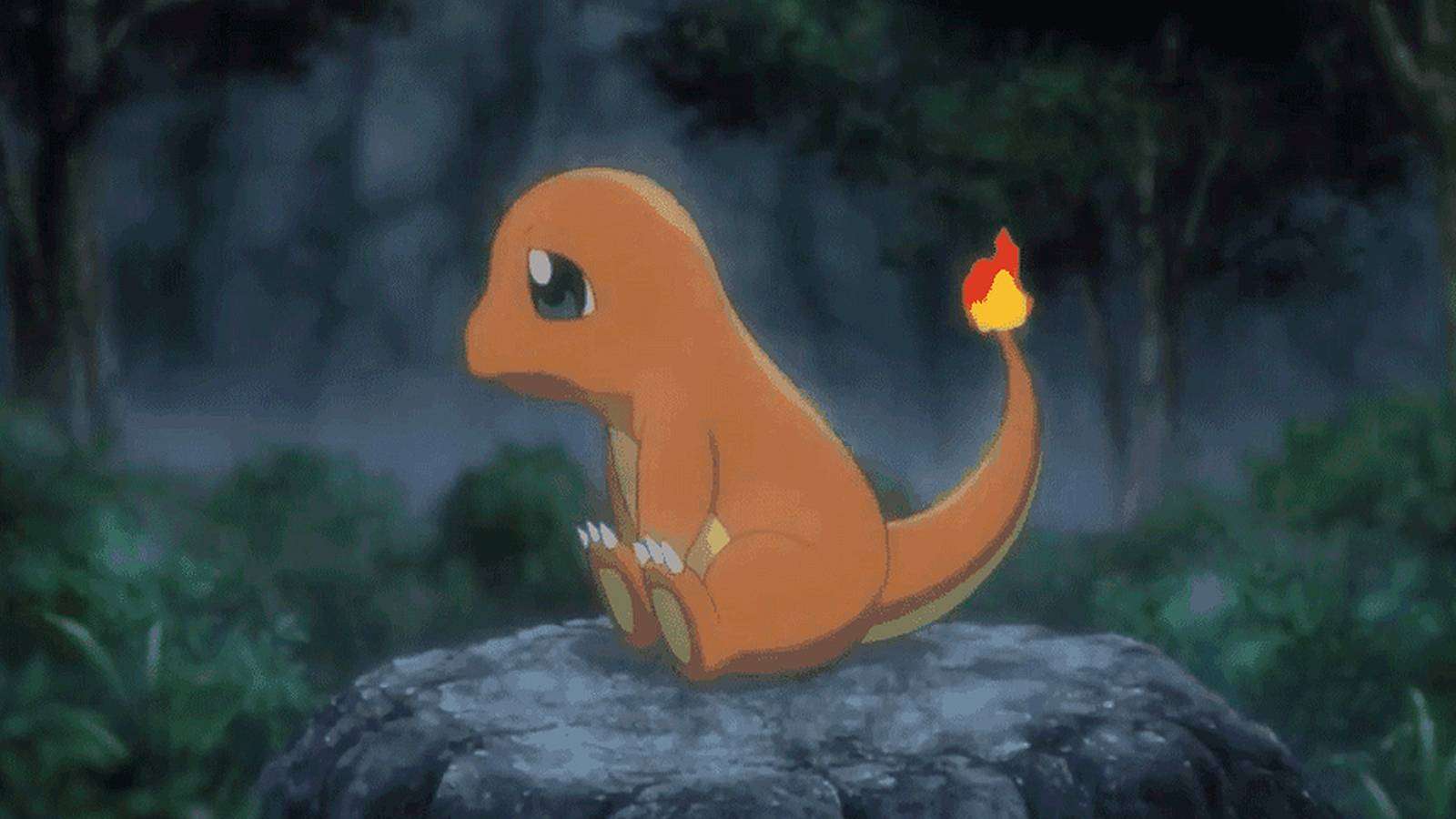 A screenshot from the movie Pokemon: I Choose You! shows a Charmander waiting on a rock in the rain
