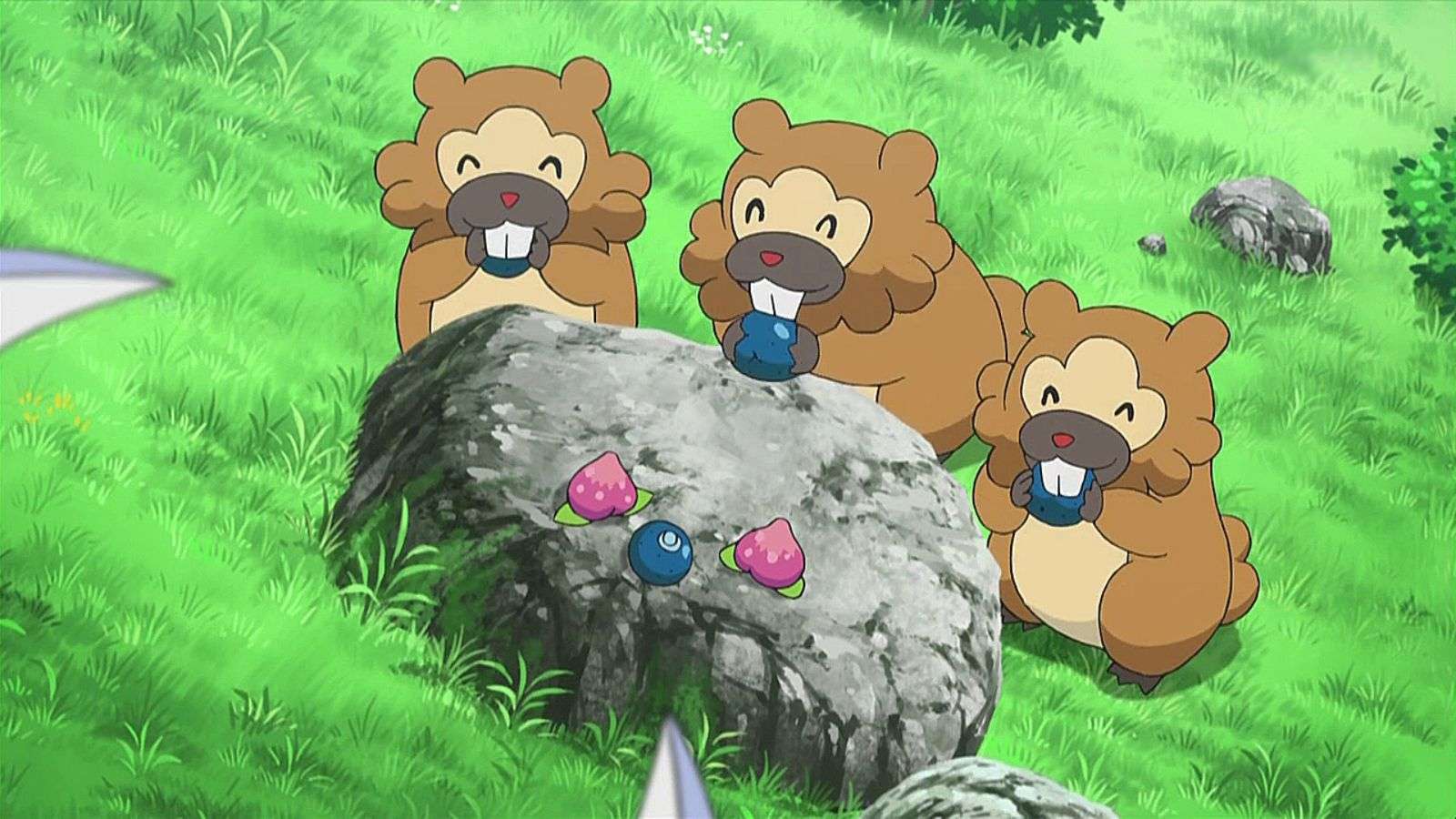 Group of Bidoof from Pokemon anime.