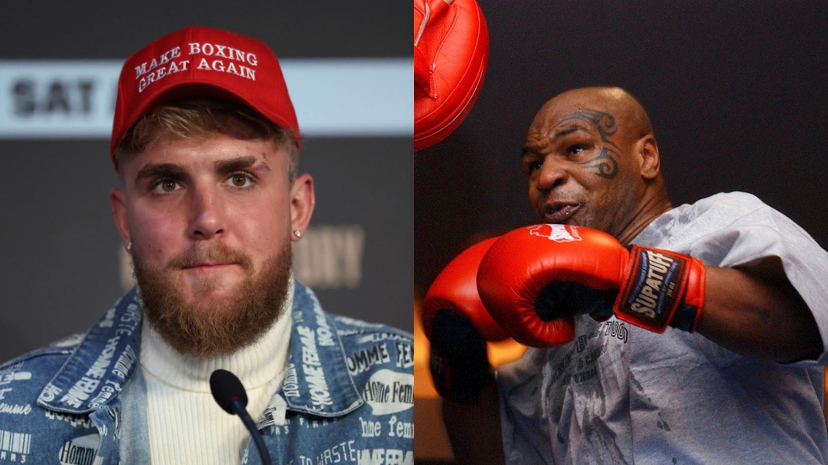 Jake Paul gets roasted by Mike Tyson fans for “fake” tiger photo