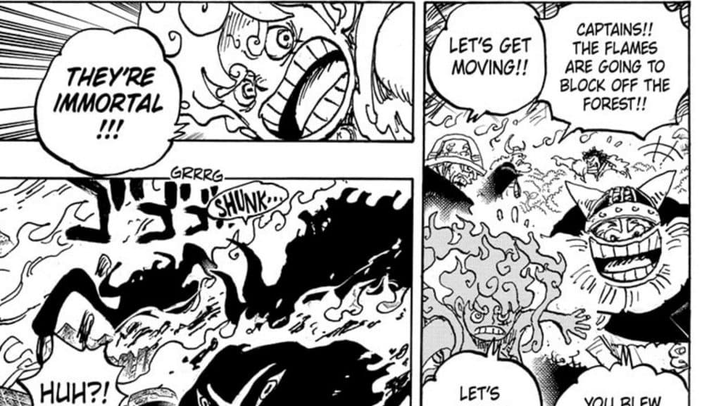One Piece Gorosei's powers