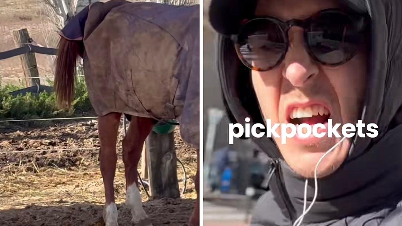 man gets revenge on pickpockets with horse poop