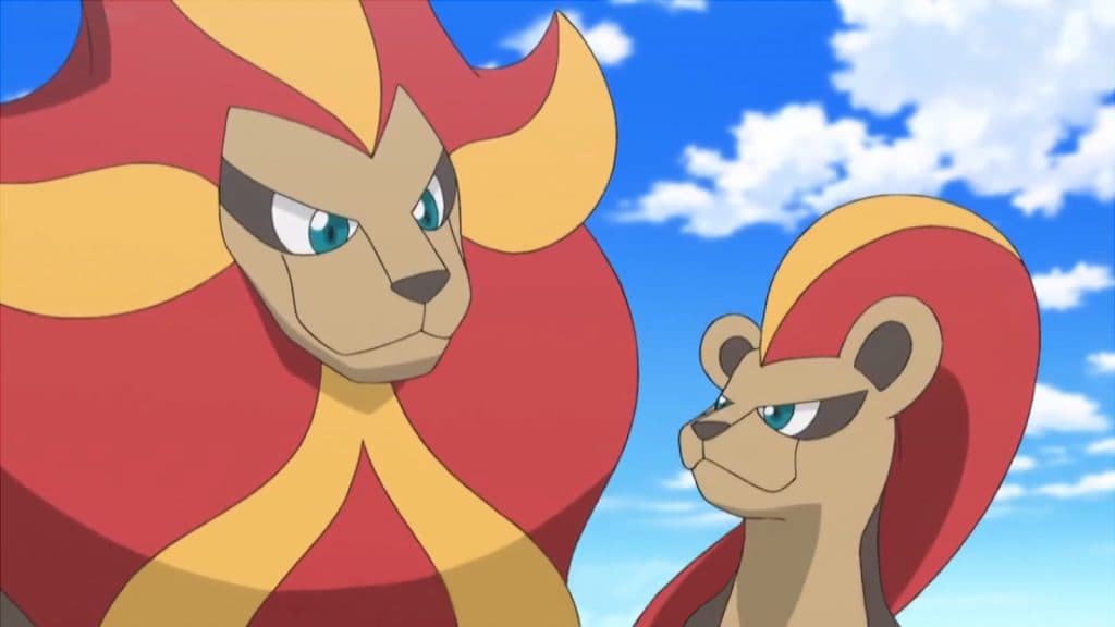 Male and female Pyroar in the Pokemon anime