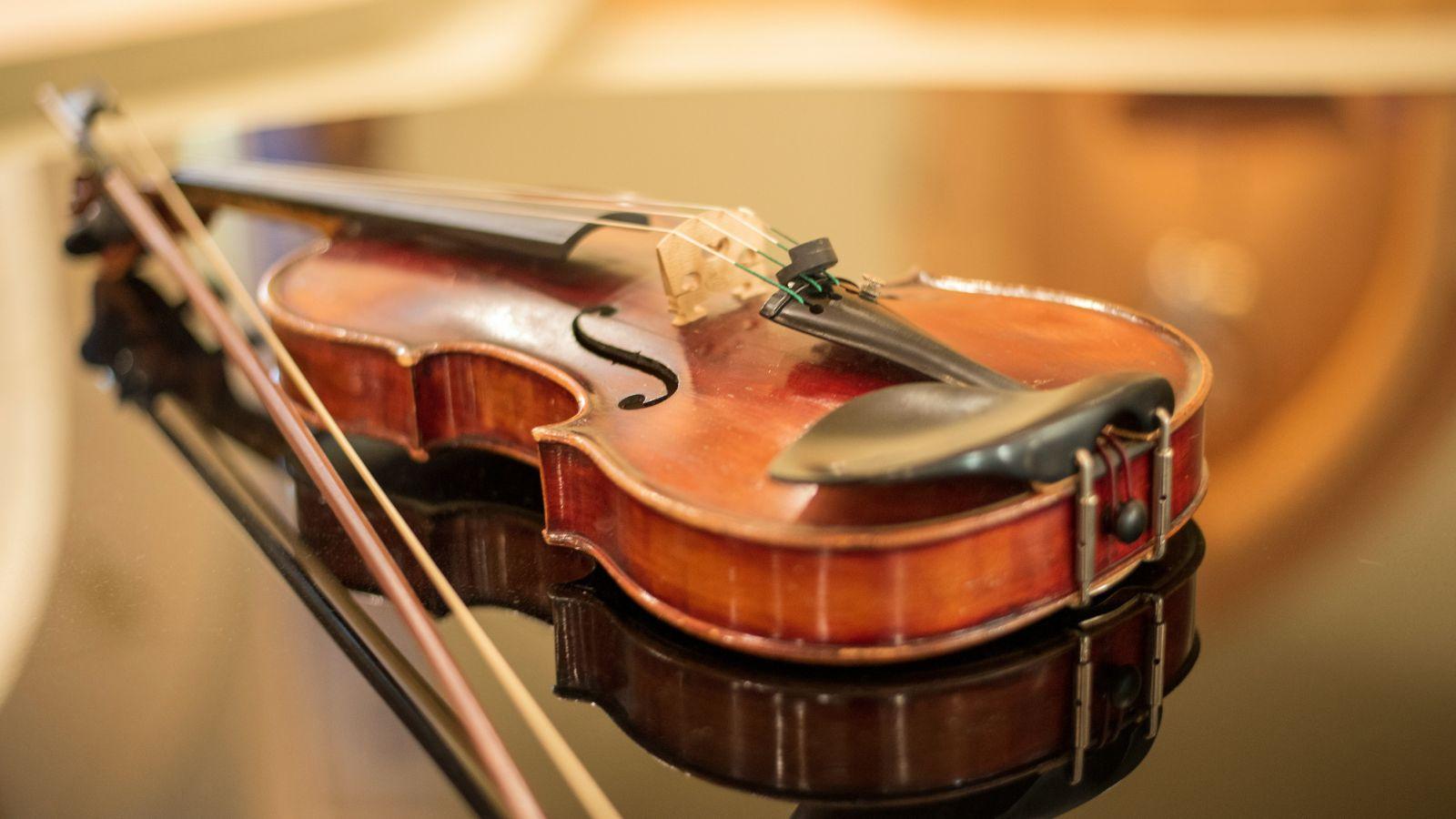 TikTok users shocked to learn how violin strings are made