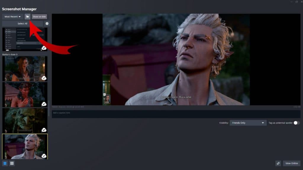 Screenshot of the Steam Screenshots Manager, with a red arrow pointing towards the 'show on disk' icon.