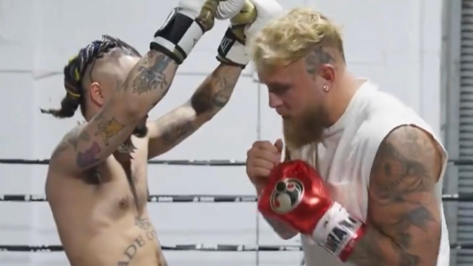 jake Paul punches lil pump