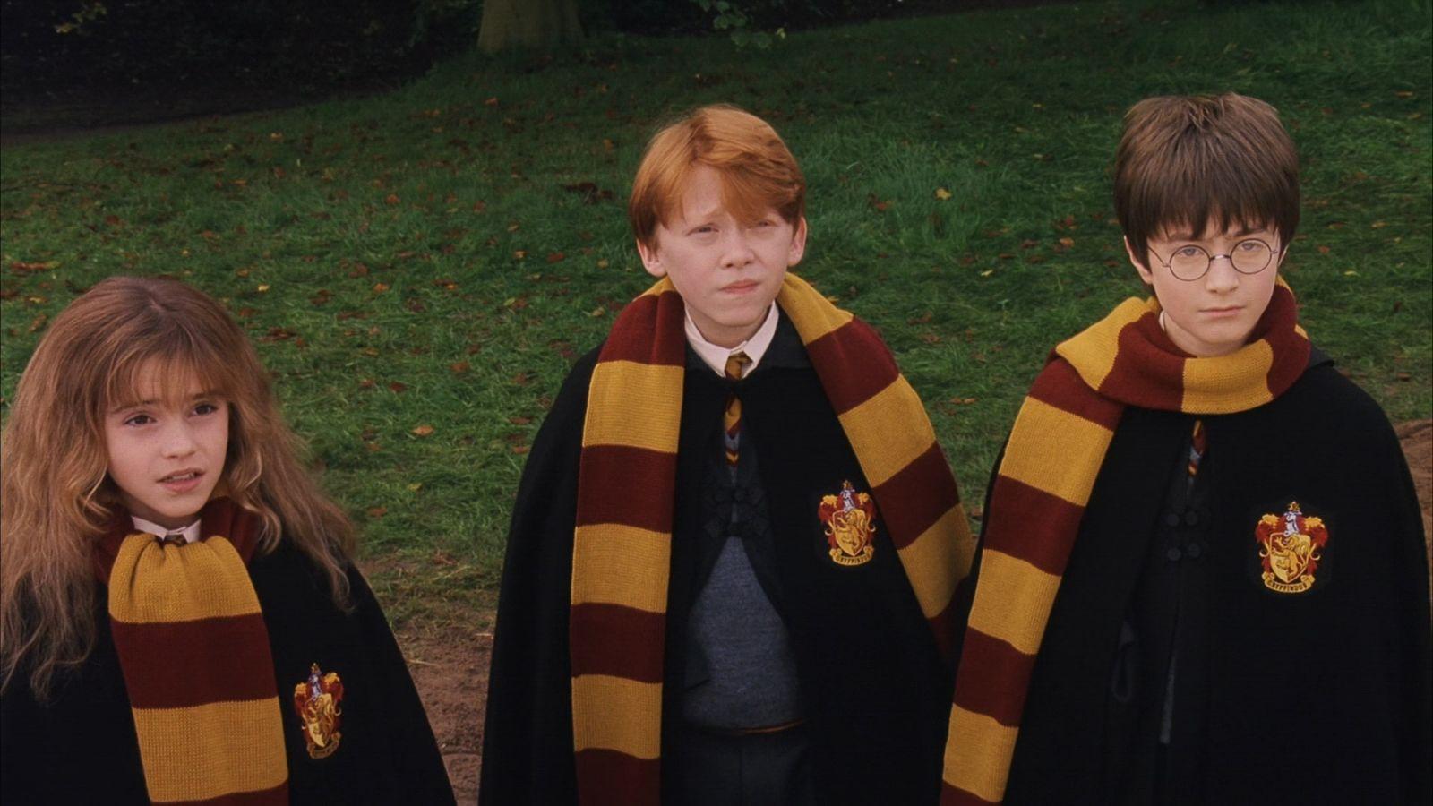 Hermione, Ron, and Harry in Harry Potter.