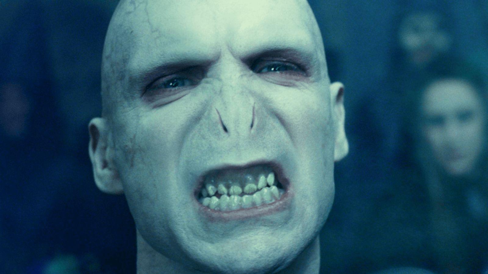 Voldemort in the Harry Potter franchise