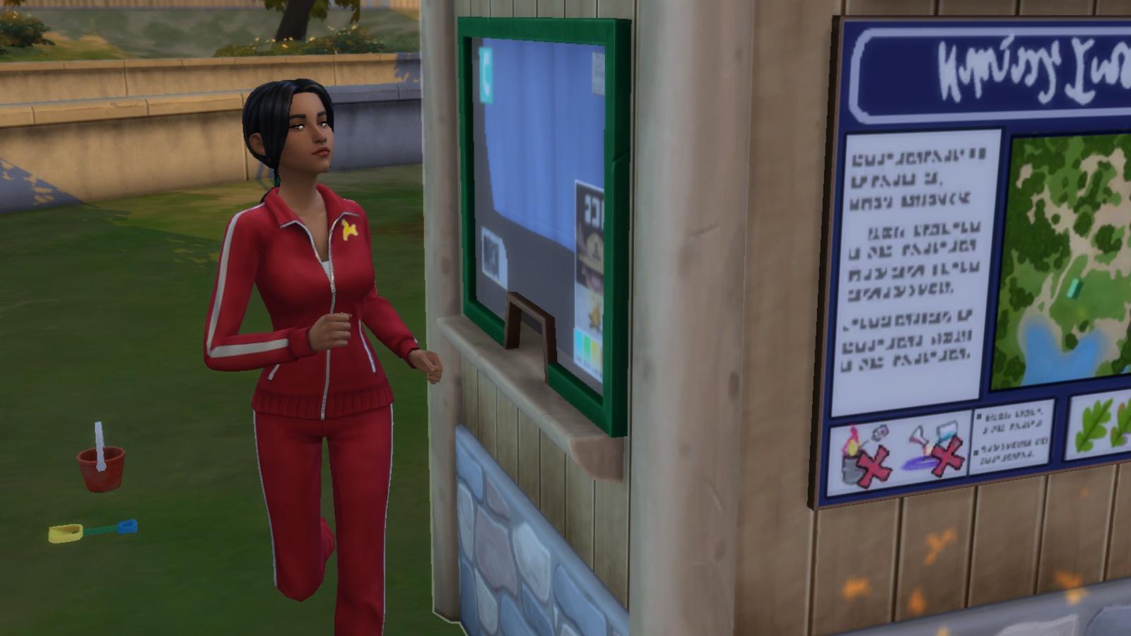 A screenshot featuring The Sims 4 hidden objects cheat.