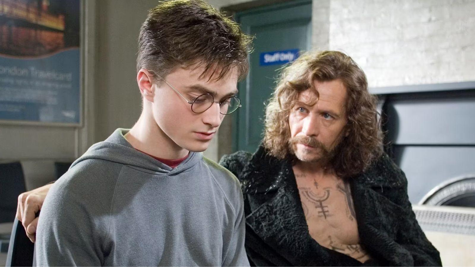 Harry Potter and Sirius Black in Harry Potter