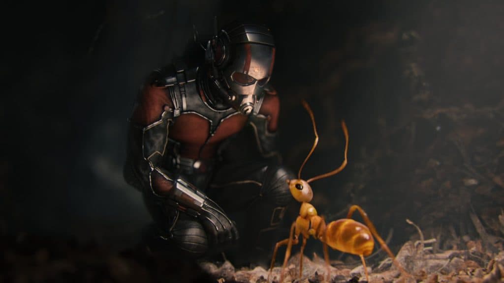 A still from Ant-Man