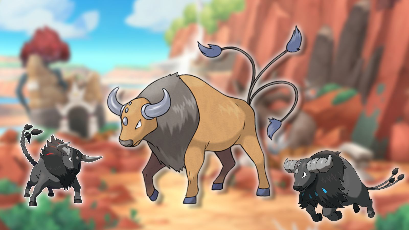 The Pokemon Tauros and Paldean Tauros appear against a blurred background