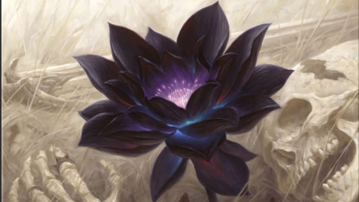 Black Lotus sale for $3M is most expensive in MTG history - Dexerto
