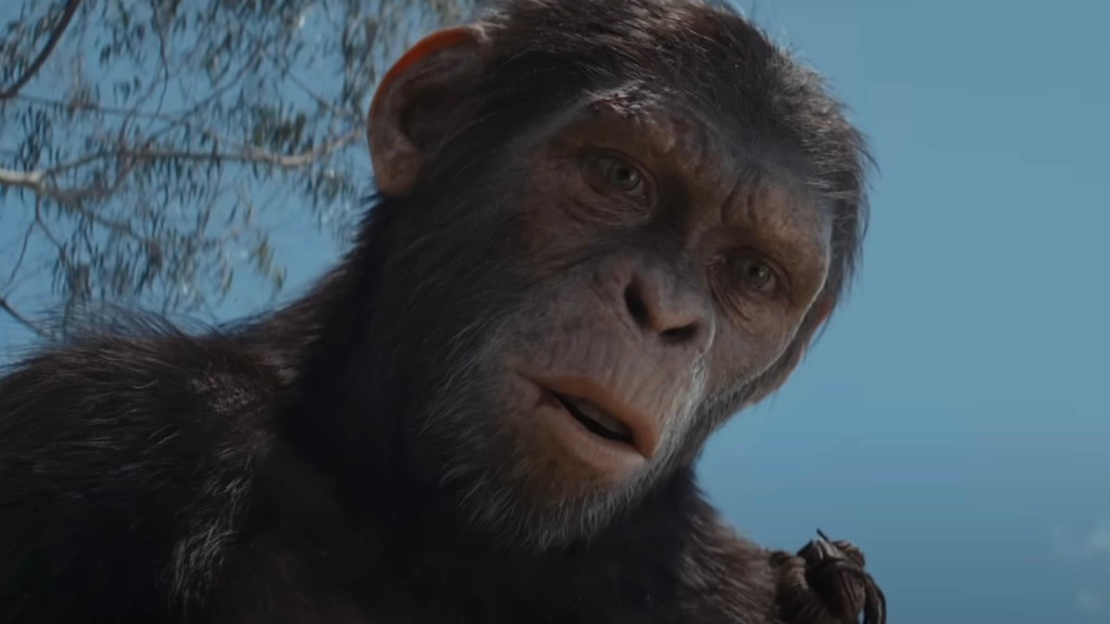 Owen Teague as Noa in Kingdom of the Planet of the Apes