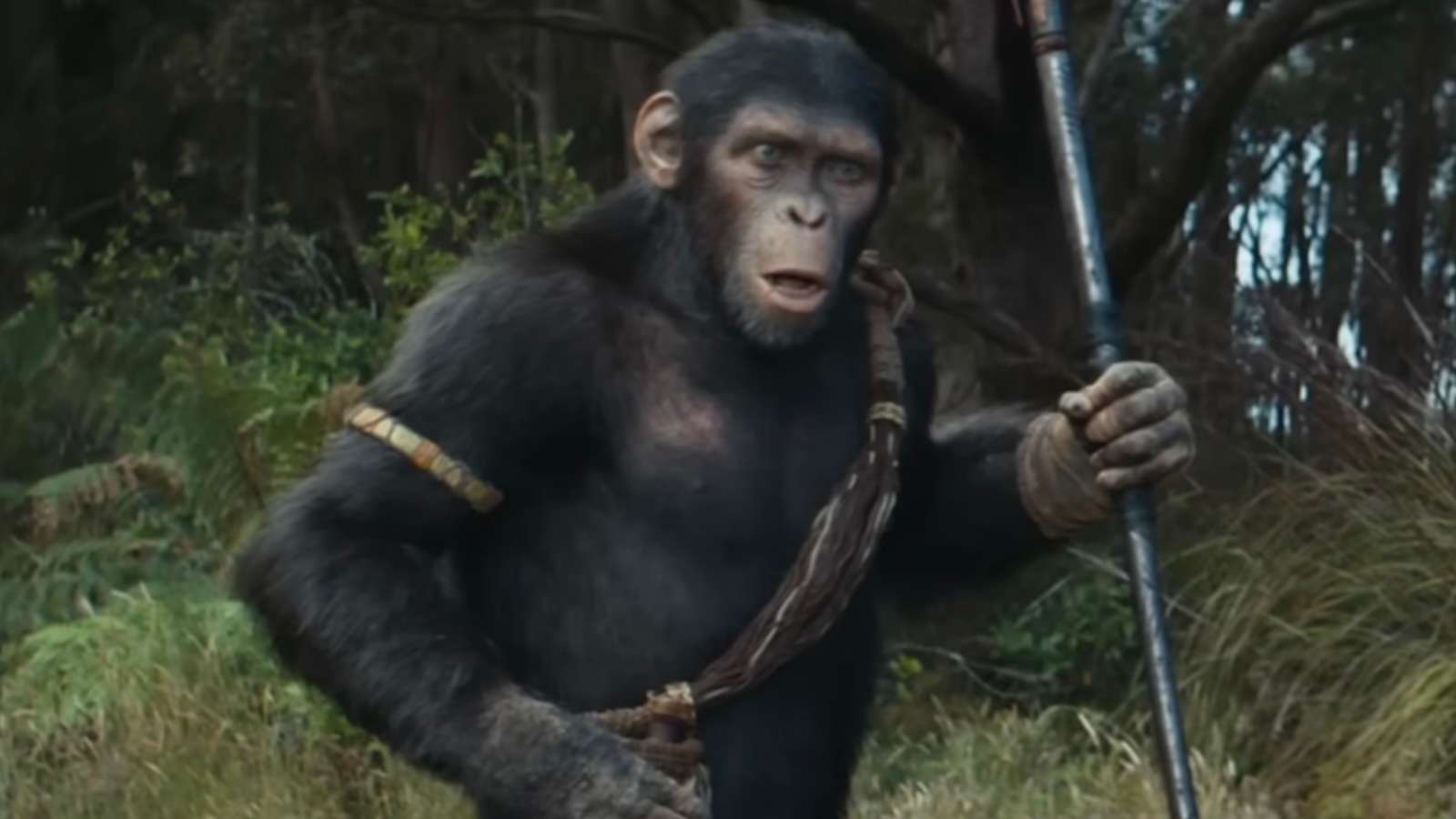 Owen Teague as Not in Kingdom of the Planet of the Apes