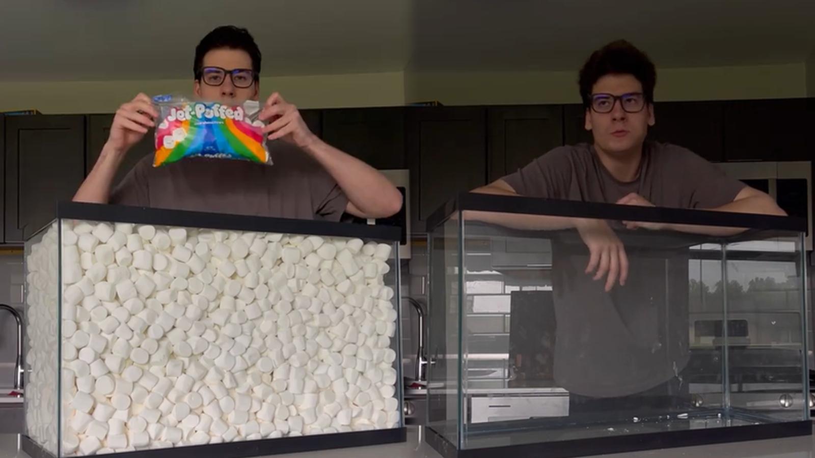 TikToker Wally before and after eating 100 liters of marshmallow