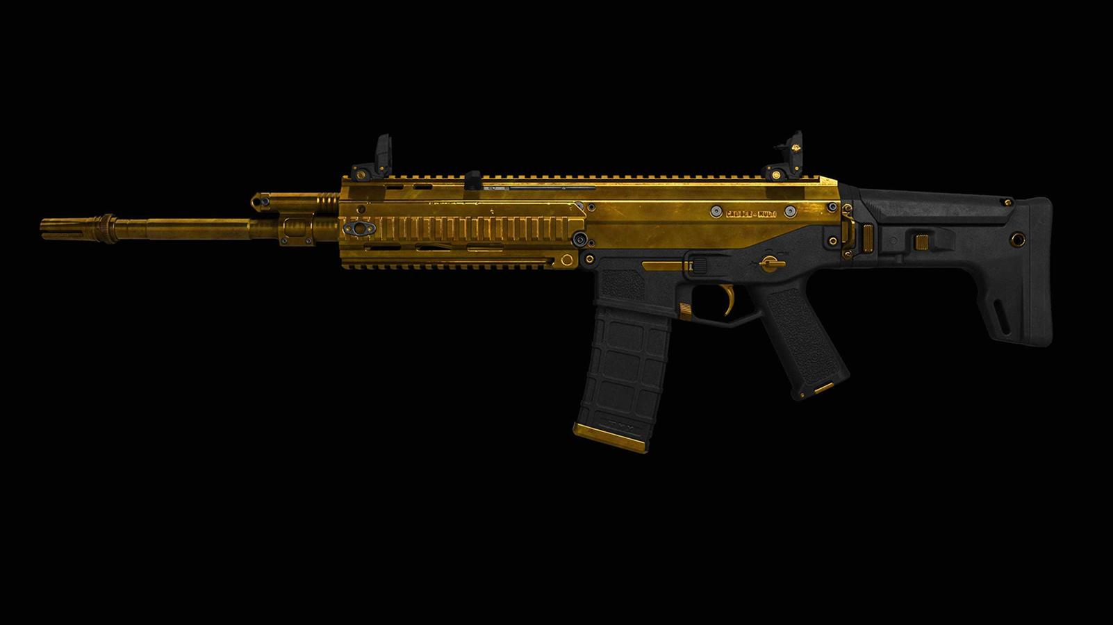 Gold ACR in XDefiant